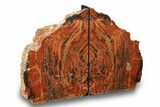 Tall, Colorful Arizona Petrified Wood Bookends #271125-1